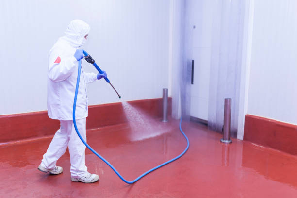 Animal Enclosure Cleaning in Mangonia Park, FL