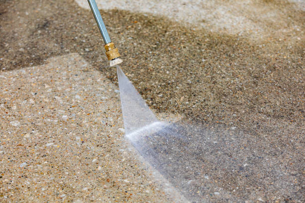 Best Sidewalk and Walkway Cleaning  in Mangonia Park, FL